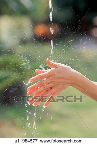 carefree, leisure, bathing, washing, beauty treatment, drops View Large Photo Image Stock Photo - carefree, leisure, bathing, washing, beauty treatment, drops. Fotosearch