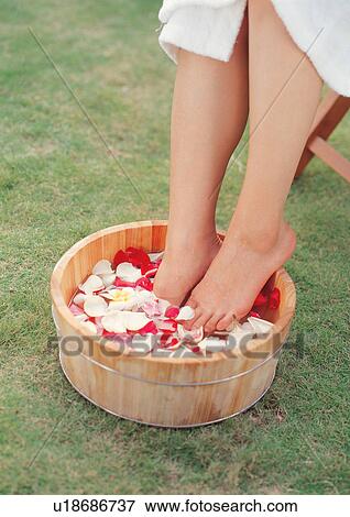 Rose petal foot soak View Large Photo Image Stock Photo - Rose petal foot soak . Fotosearch