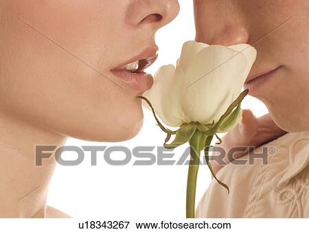 Stock Photo - Close-up of a young couple holding a white rose. Fotosearch