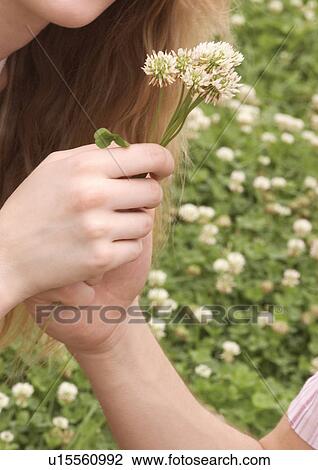 Close-up of flowers in a young couple's hands View Large Photo Image Stock Image - Close-up of flowers in a young couple's hands. Fotosearch