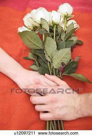 High angle view of a couple's hands on a bouquet of white roses View Large Photo Image Stock Image - High angle view of a couple's hands on a bouquet of white roses. Fotosearch