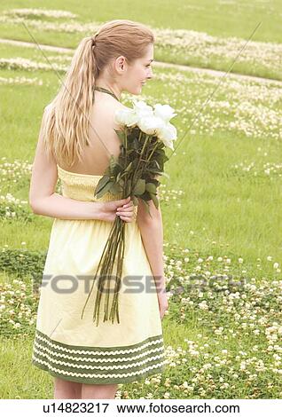 Rear view of a young woman holding a bouquet of white roses View Large Photo Image Stock Photo - Rear view of a young woman holding a bouquet of white roses. Fotosearch