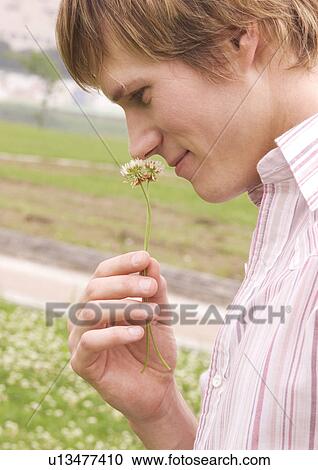 Stock Image - Side profile of a young man holding a flower. Fotosearch