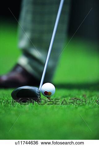 Stock Photograph - exercise, sport, grass, golfball, leisure, golf club. Fotosearch