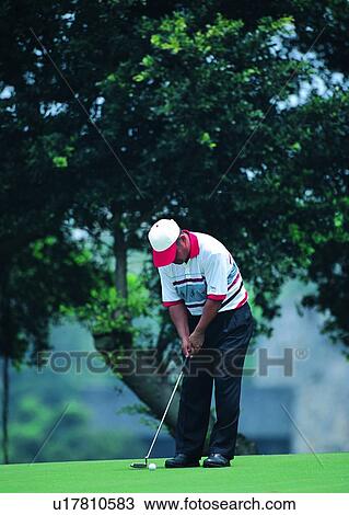 golf, exercise, leisure, tree, recreation View Large Photo Image Stock Image - golf, exercise, leisure, tree, recreation. Fotosearch