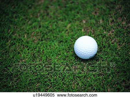 Stock Photography - golfball, grass, golf, exercise, leisure, recreation. Fotosearch