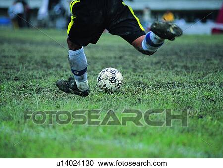 sport, recreation, leisure, exercise, soccer, football View Large Photo Image Stock Image - sport, recreation, leisure, exercise, soccer, football. Fotosearch