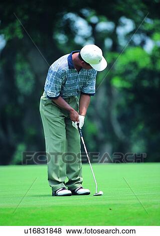 sport, recreation, leisure, exercise, golf, grass View Large Photo Image Stock Photo - sport, recreation, leisure, exercise, golf, grass. Fotosearch