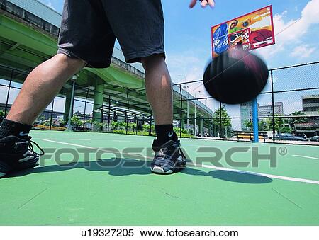 wire netting, basket, leg, leisure, dribble, shadow View Large Photo Image Stock Photography - wire netting, basket, leg, leisure, dribble, shadow. Fotosearch