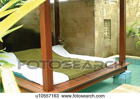 Day, Bedding, Plant, Wall View Large Photo Image Stock Image - Day, Bedding, Plant, Wall. Fotosearch