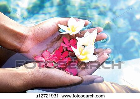Female Beauty, Vacations, Leisure Activity, Spa, One Person, Well-Being View Large Photo Image Stock Image - Female Beauty, Vacations, Leisure Activity, Spa, One Person, Well-Being. Fotosearch