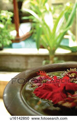 Outdoor, Part Of, Day, Tourist Resort, Decoration View Large Photo Image Stock Image - Outdoor, Part Of, Day, Tourist Resort, Decoration. Fotosearch
