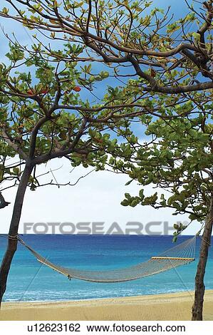 Stock Image - Beach, Blue, Day, Green, Hammock. Fotosearch