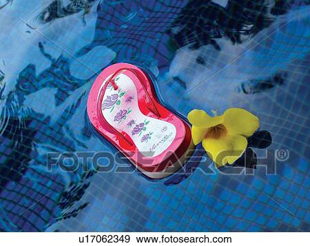 Stock Photo - Blooms, Blossom, Close-Up, Day, Floral Pattern. Fotosearch
