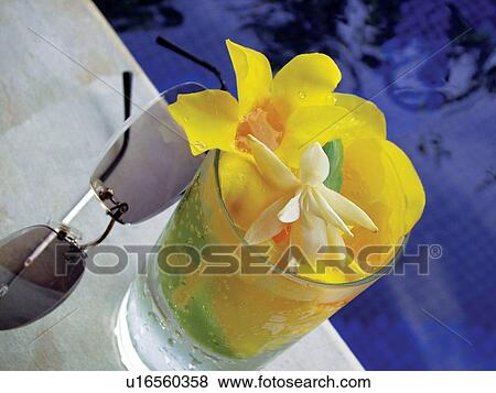 Close-Up, Day, Flower, Focus On Foreground, Glass View Large Photo Image Stock Photo - Close-Up, Day, Flower, Focus On Foreground, Glass. Fotosearch