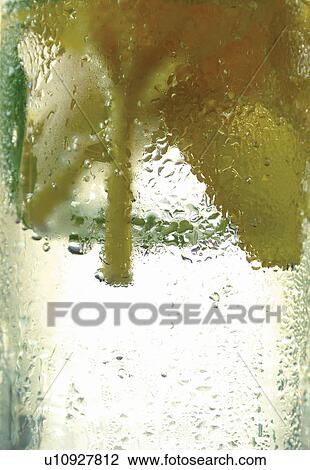 Stock Image - Flower Pot, Summer, Transparent, Day, Summer Style. Fotosearch