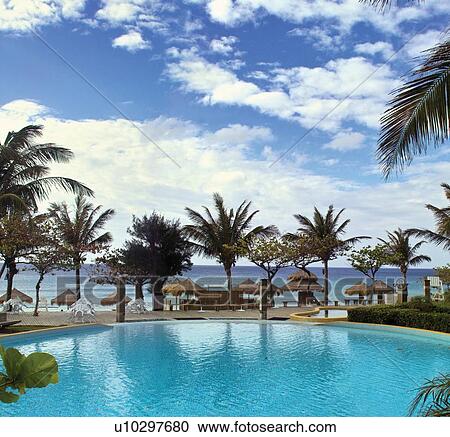 Outdoor, Environment, Water, Leaf, Day View Large Photo Image Stock Image - Outdoor, Environment, Water, Leaf, Day. Fotosearch