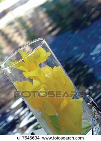 Picture - Outdoor, Pool, Fragility, Glass, Reflection, Day. Fotosearch