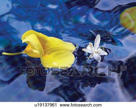 Outdoor, Uncultivated, Freshness, Day View Large Photo Image Stock Image - Outdoor, Uncultivated, Freshness, Day. Fotosearch