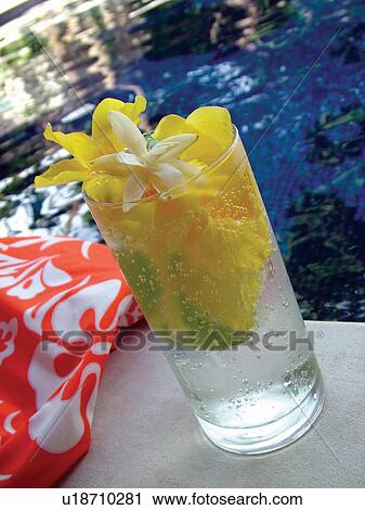 Stock Image - Summer Style, Outdoor, Tilt, Reflection, Flower, Day, Transparent. Fotosearch