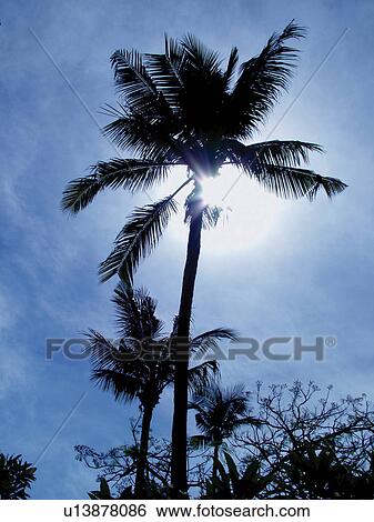 Tourist Resort, Emergence, Silhouette, Sky, Blue View Large Photo Image Stock Photograph - Tourist Resort, Emergence, Silhouette, Sky, Blue. Fotosearch