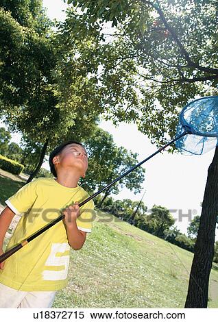 outdoor, playing, casual, catching, looking up, blonde hair View Large Photo Image Stock Photography - outdoor, playing, casual, catching, looking up, blonde hair. Fotosearch