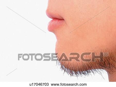 Stock Image - Beard, Chin, Close-Up, Facial Hair. Fotosearch