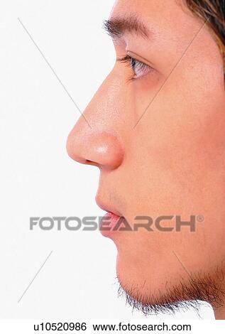 Stock Photograph - Chin, Close-Up, Cornea, Detail, Eye Lashes. Fotosearch