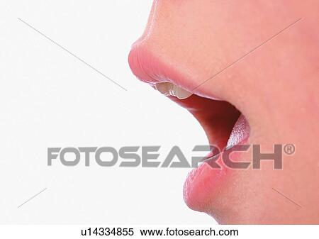 Chin, Close-Up, Facial Expression, Human Lips View Large Photo Image Stock Photography - Chin, Close-Up, Facial Expression, Human Lips. Fotosearch