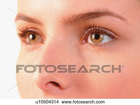 Picture - Close-Up, Cornea, Detail, Eye Lashes, Eyeball. Fotosearch