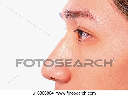 Close-Up, Cornea, Detail, Eye Lashes, Eyeball View Large Photo Image Picture - Close-Up, Cornea, Detail, Eye Lashes, Eyeball. Fotosearch