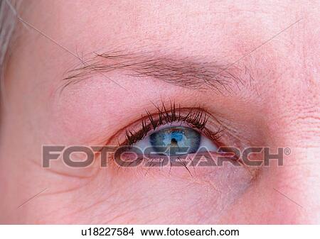 Close-Up, Cornea, Detail, Eye Lashes, Eyeball View Large Photo Image Picture - Close-Up, Cornea, Detail, Eye Lashes, Eyeball. Fotosearch