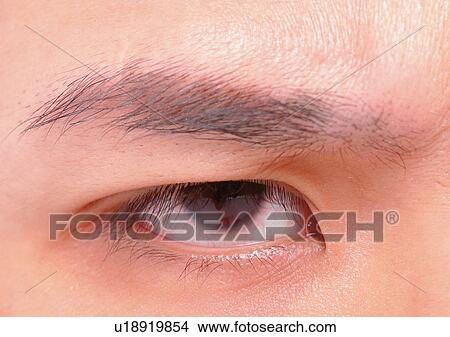 Close-Up, Cornea, Detail, Eye Lashes, Eyeball View Large Photo Image Picture - Close-Up, Cornea, Detail, Eye Lashes, Eyeball. Fotosearch