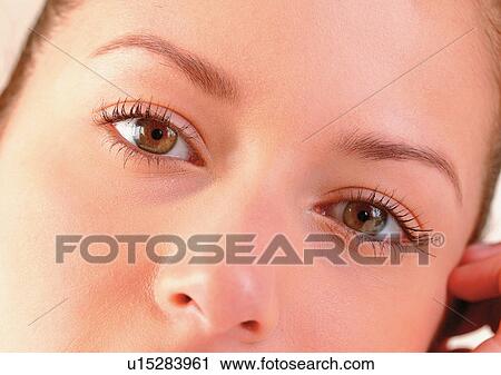 Close-Up, Cornea, Detail, Eye Lashes, Eyeball View Large Photo Image Stock Image - Close-Up, Cornea, Detail, Eye Lashes, Eyeball. Fotosearch