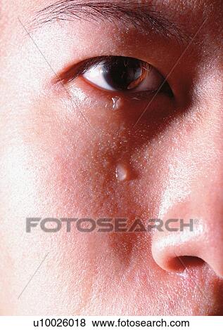 Close-Up, Cornea, Detail, Eye Lashes, Eyeball View Large Photo Image Stock Photo - Close-Up, Cornea, Detail, Eye Lashes, Eyeball. Fotosearch