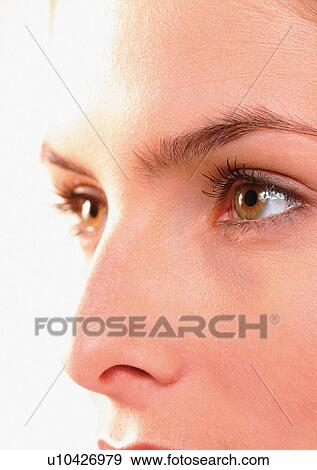 Stock Photo - Close-Up, Cornea, Detail, Eye Lashes, Eyeball. Fotosearch