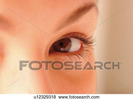 Stock Photo - Close-Up, Cornea, Detail, Eye Lashes, Eyeball. Fotosearch