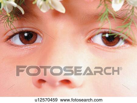 Stock Photo - Close-Up, Cornea, Detail, Eye Lashes, Eyeball. Fotosearch