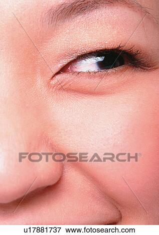 Close-Up, Cornea, Detail, Eye Lashes, Eyeball View Large Photo Image Stock Photo - Close-Up, Cornea, Detail, Eye Lashes, Eyeball. Fotosearch