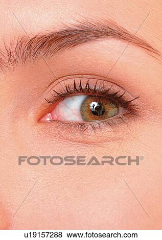 Stock Photo - Close-Up, Cornea, Detail, Eye Lashes, Eyeball. Fotosearch