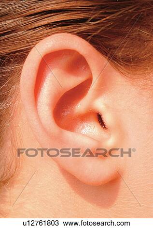 Stock Image - Indoor, One Person, Part Of. Fotosearch