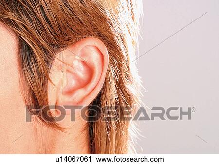 Stock Image - Indoor, One Person, Part Of. Fotosearch