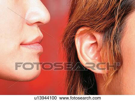 Indoor, Part Of View Large Photo Image Stock Image - Indoor, Part Of. Fotosearch