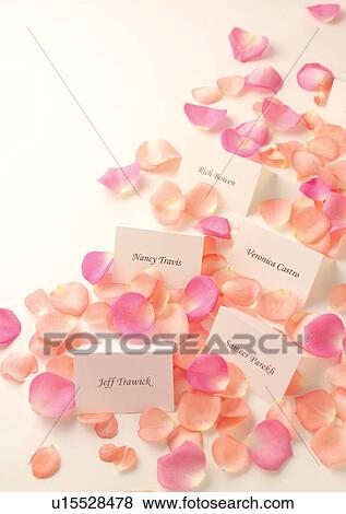 Stock Photo - Flower, Flower Petal, Wedding Party. Fotosearch