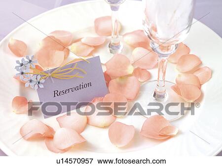 Plate, Flowers, Rose View Large Photo Image Stock Photo - Plate, Flowers, Rose. Fotosearch