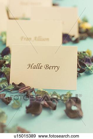 Wedding Party, Reception, Flower Petals View Large Photo Image Stock Photo - Wedding Party, Reception, Flower Petals. Fotosearch