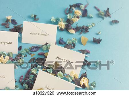 Wedding Party, Reception, Flower Petals View Large Photo Image Stock Photograph - Wedding Party, Reception, Flower Petals. Fotosearch
