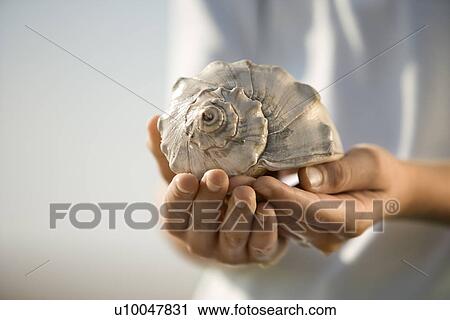 Caucasian pre-teen boy holding seashell. View Large Photo Image Stock Image - Caucasian pre-teen boy holding seashell.. Fotosearch