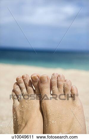 Caucasian young adult woman sandy feet on beach. View Large Photo Image Stock Image - Caucasian young adult woman sandy feet on beach.. Fotosearch