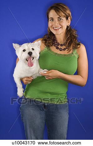 Stock Image - Caucasian prime adult female holding white terrier dog.. Fotosearch